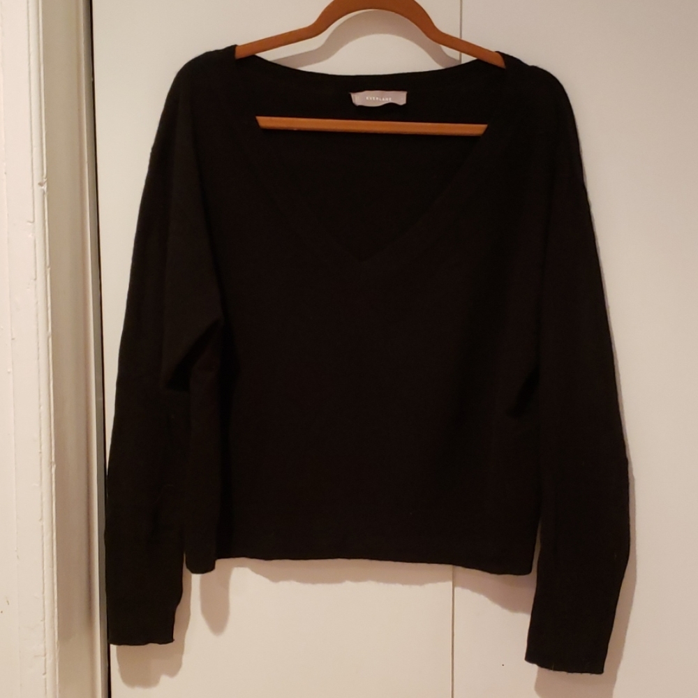Everlane Cashmere V-neck sweater